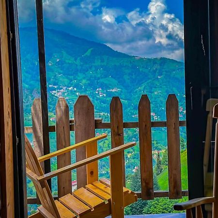 Golden Paws Guesthouse Çatalca المظهر الخارجي الصورة